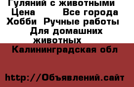 Гуляний с животными › Цена ­ 70 - Все города Хобби. Ручные работы » Для домашних животных   . Калининградская обл.